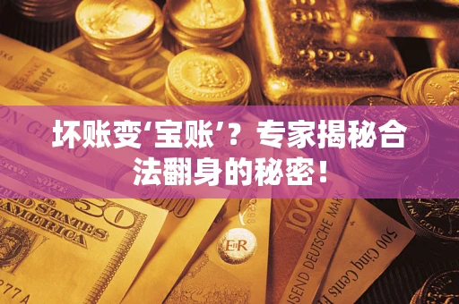 北京坏账变‘宝账’？专家揭秘合法翻身的秘密！