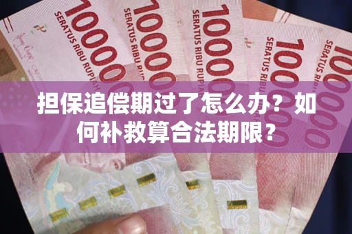 北京担保追偿期过了怎么办？如何补救算合法期限？