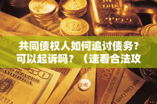 北京共同债权人如何追讨债务？可以起诉吗？（速看合法攻略）