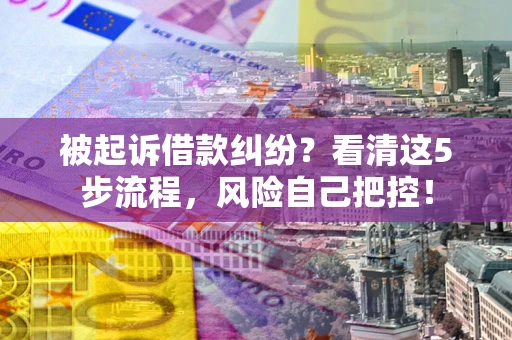 北京被起诉借款纠纷？看清这5步流程，风险自己把控！